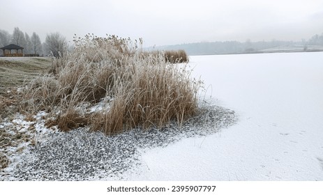 Frosen lake with grass covered in frost. Poland