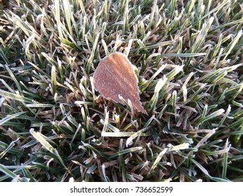 Frost