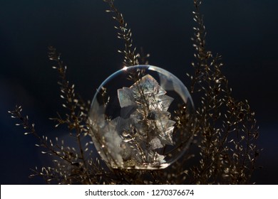 frost bubble covered with a pattern