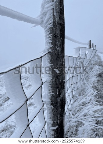 Similar – Foto Bild Winterfreuden Eis Frost