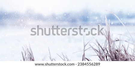 Frost covered grass on the river bank during snowfall, winter background