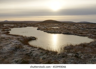 Frost Covered Peatland Landscape, Scotland/