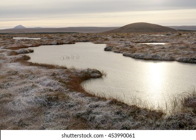 Frost Covered Peatland Landscape, Scotland/