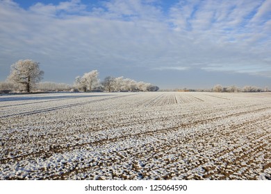 frost covered trees and arable fields in a rural winter landscape under a cloudy sky