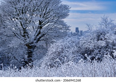 Frost covered Trees and Foliage with Durham Cathedral in the distance. Durham City, County Durham, England, UK.