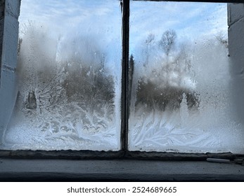 Frost covered winter window with forest background  - Powered by Shutterstock