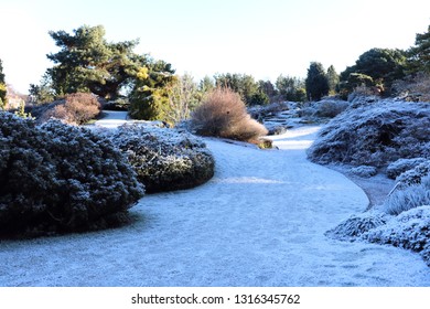 Frost Covering Ground And Plants In Edinburgh Botanic Gardens