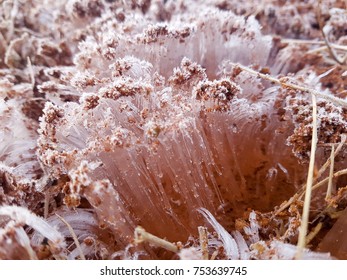 frost from ground