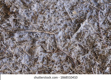 6,340 Frozen Soil Images, Stock Photos & Vectors | Shutterstock
