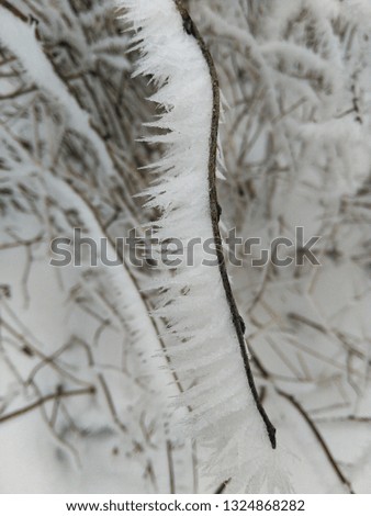 Similar – Image, Stock Photo ice grid Environment