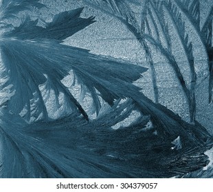 frost pattern on a windowpane closeup, x-ray effect