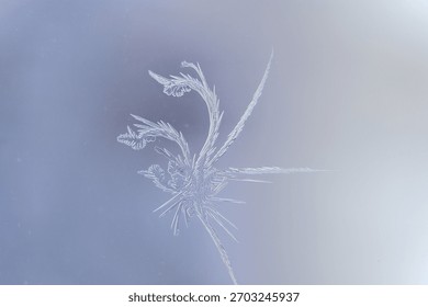 Frost patterns create delicate, intricate designs on a glass surface,..