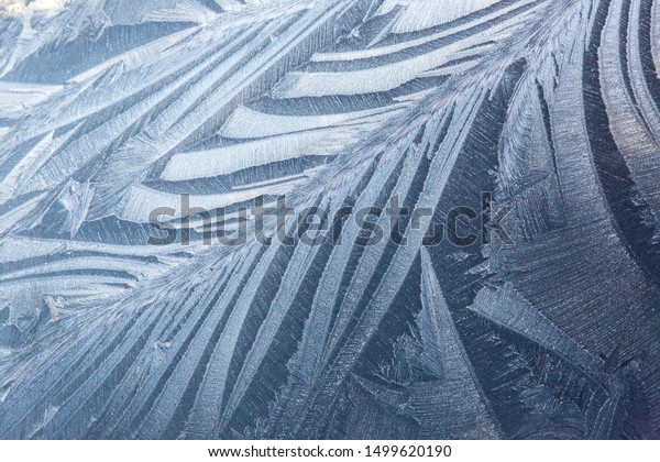 Frost patterns on a car\
hood with black paint work - winter hoar frost creating unusual\
feather shapes.