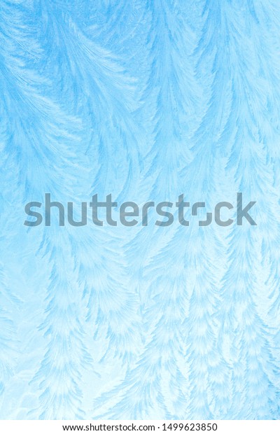 Frost patterns on a\
car windscreen - winter hoar frost creating unusual feather shapes\
in a vertical format. 