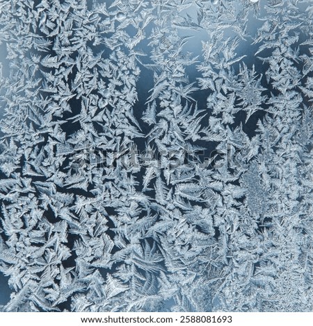 Frost patterns on glass as a background