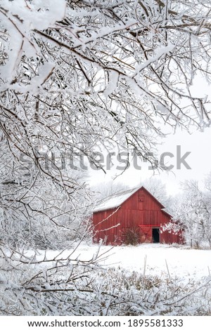 Frost and snow covered branches with soft focused red barn in the distance.
