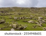 Frost weathering of metamorphic rocks visible in alpine meadows of Himalayas. It is an umbrella term for a variety of processes like frost shattering, frost wedging and cryo-fracturing.