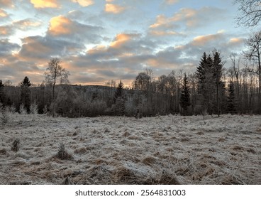 Frost-covered field bordered by a forest of bare trees and evergreens under a dramatic cloudy sky at sunrise. A serene winter morning scene highlighting seasonal beauty and natural textures - Powered by Shutterstock