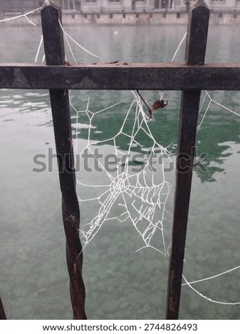 Frost-covered spider web stretched between rusty iron fence railings above a calm green river or lake, with a dried leaf caught in the web on a cold misty winter morning