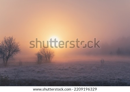 Similar – Image, Stock Photo Foggy winter morning at Lake Yellowstone in the Yellowstone National Park, Wyoming