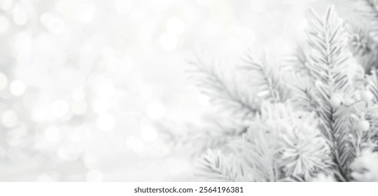 Frosted evergreen branches against a soft, blurred background. - Powered by Shutterstock