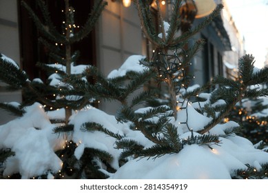 Frosted evergreen branches sparkle with tiny glowing bulbs outside a rustic building during a quiet December dusk as soft white snow settles peacefully upon the needles.