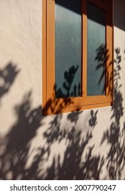 Frosted Glass Window With Light Brown Wooden Frame And Silhouette Tree In The Morning.