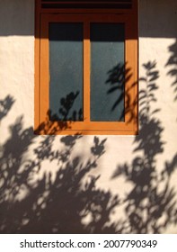 Frosted Glass Window With Light Brown Wooden Frame And Silhouette Tree In The Morning.