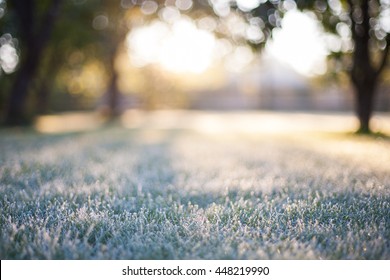 Frosted grass on a blurry bokeh sunrise backdrop