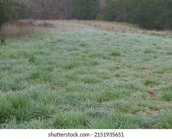 Frosted Grassland, San Ramon Valley, California