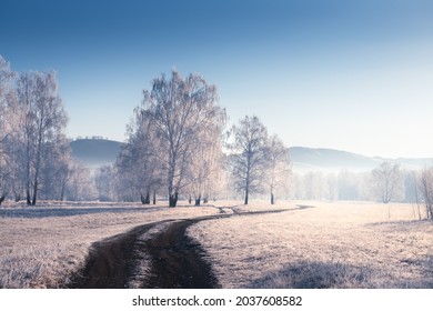 Frosted trees and road in winter forest at misty morning. Beautiful winter landscape. South Ural, Russia