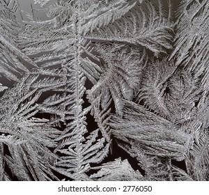 frost-flower