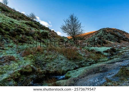 Similar – Image, Stock Photo When the frost touches Berlin
