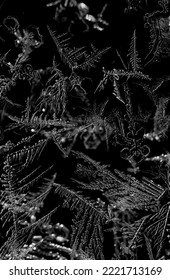 Frostwork pattern ice crystals on black background. Dark surface with abstract ice structure makes to overlay or add a frost effect. Frost on the glass, the effect of freezing