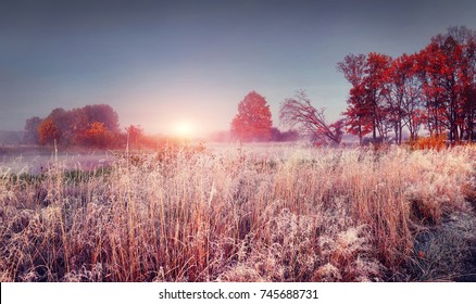 Frosty autumn landscape of november nature at sunrise. Scenery colorful autumn with hoarfrost.