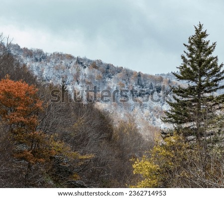 Frosty Autumn Scene in Pisgah National Forest near the Blue Ridge Parkway in North Carolina