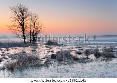 Similar – winter fog Nature