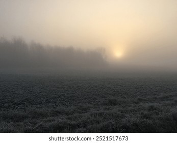 Frosty fields in the winter sunrise - Powered by Shutterstock