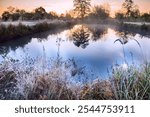 frosty fresh morning on the lake. First frost, late autumn, beginning of winter. Cold snap

