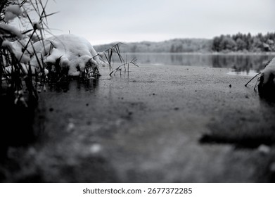 A frosty landscape featuring a patch of icy snow and patches of bushes