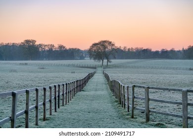 Frosty Meadow Path Leading Into A Lone Tree At Sunrise