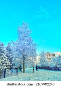 Frosty Morning In The City