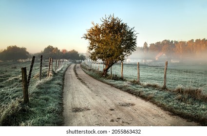 frosty morning in the countryside, road between fields, frost on grass and fance, tree by the road, blue sky - Powered by Shutterstock