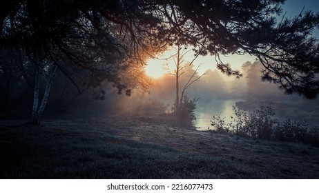 Frosty Morning And Fog On The River