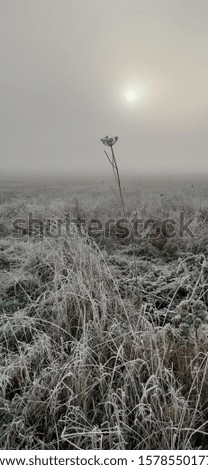 Similar – Verlaufen Umwelt Natur