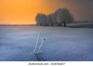 Frosty Morning Somewhere In Romania