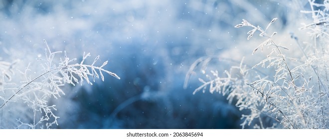 Nature Images, Stock Photos & Vectors | Shutterstock