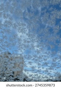 Frosty pattern on the window