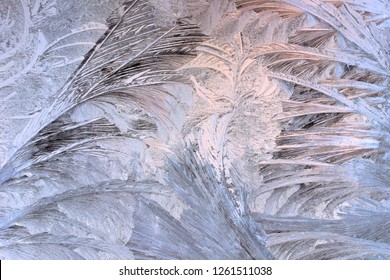frosty pattern on the window.  Winter draws a fairy tale winter flower