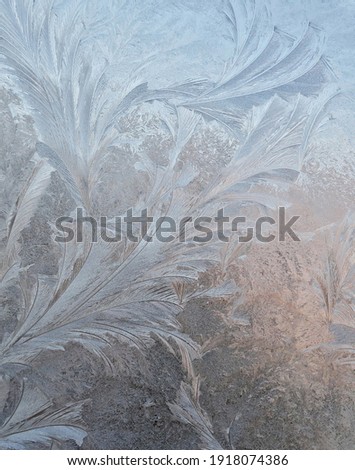 frosty patterns on the window pane